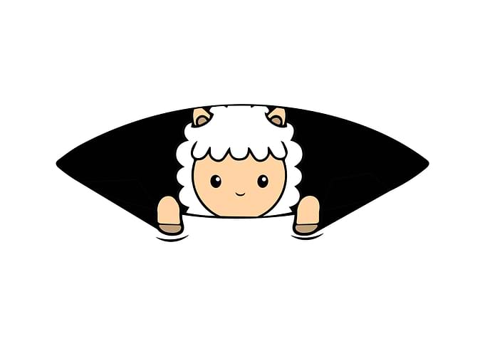 Baby sheep Pregnancy