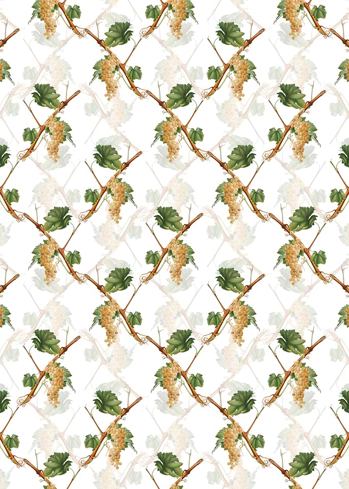 Vermentino Grapes Pattern