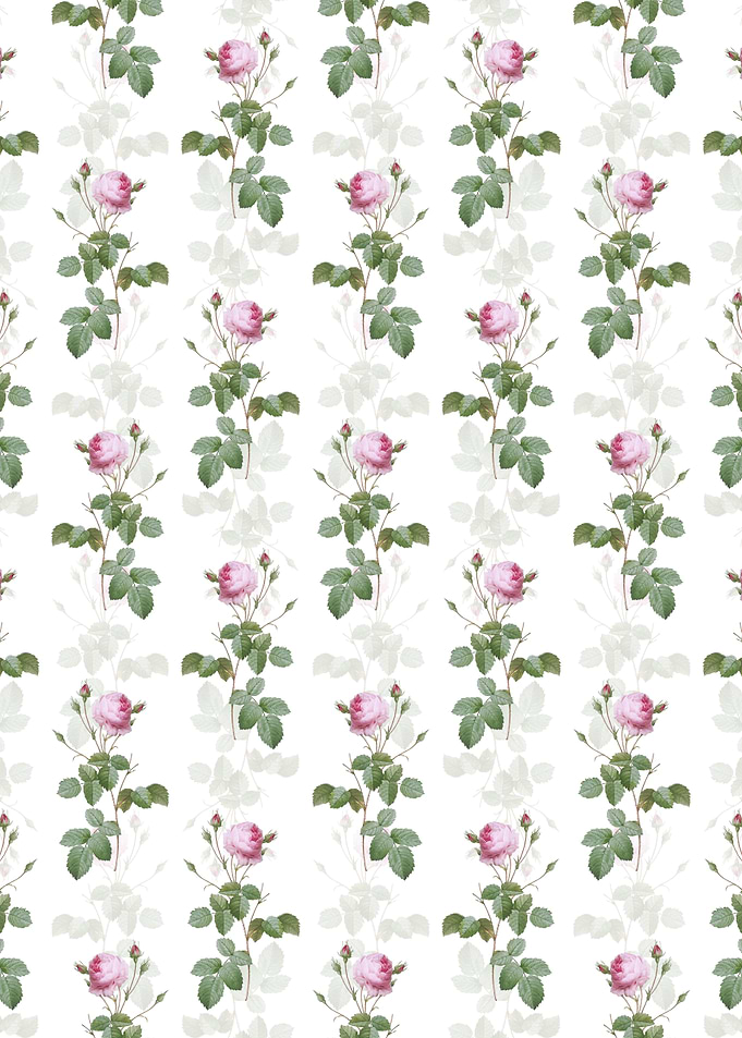 Provence Rose Pattern