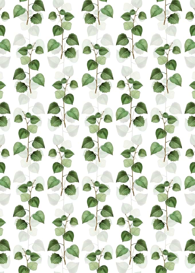 Quaking Aspen Pattern