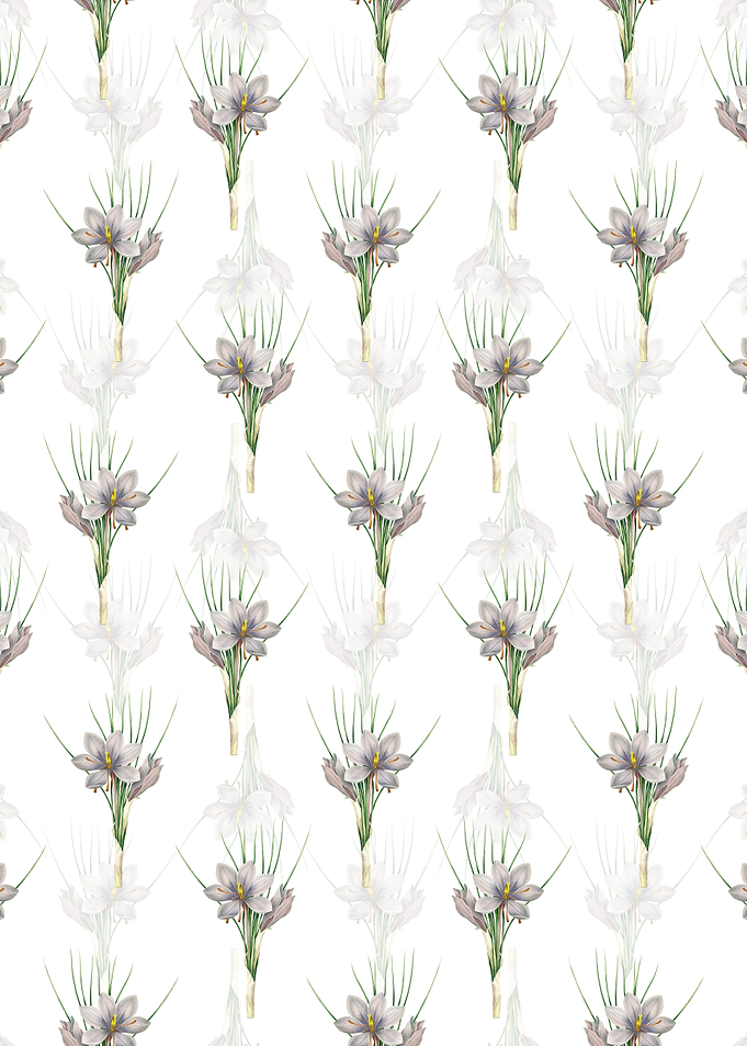 Autumn Crocus Pattern