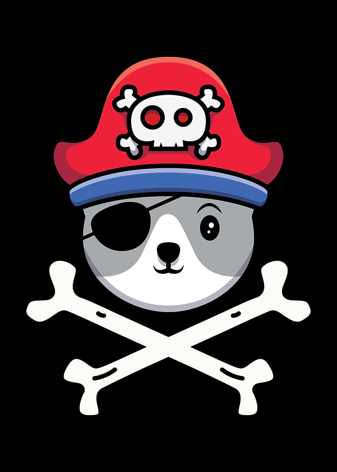 Cat Pirate