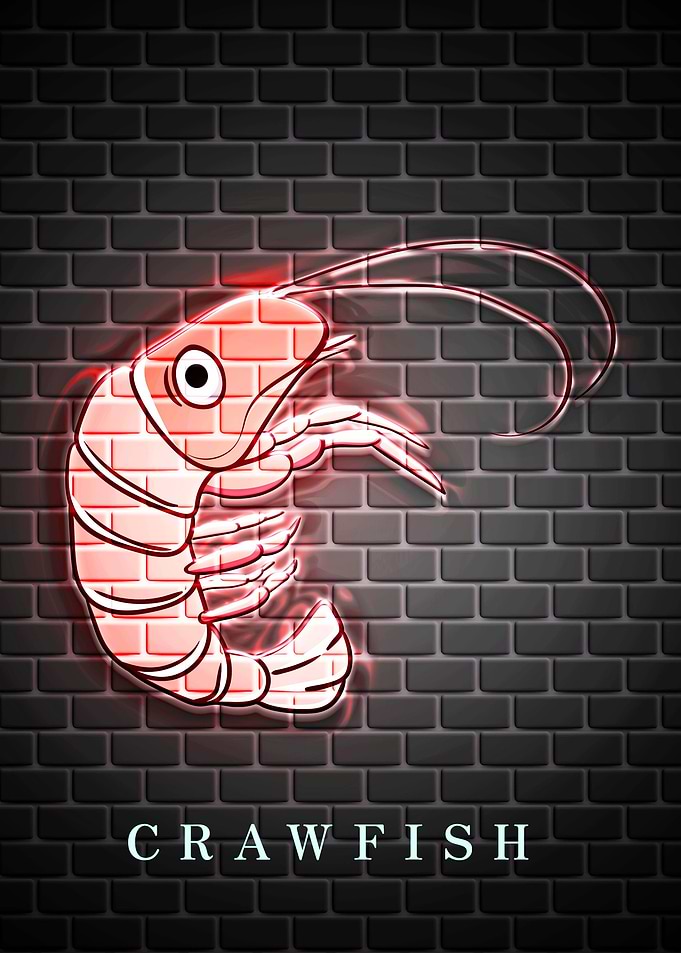 CRAWFISH Animal