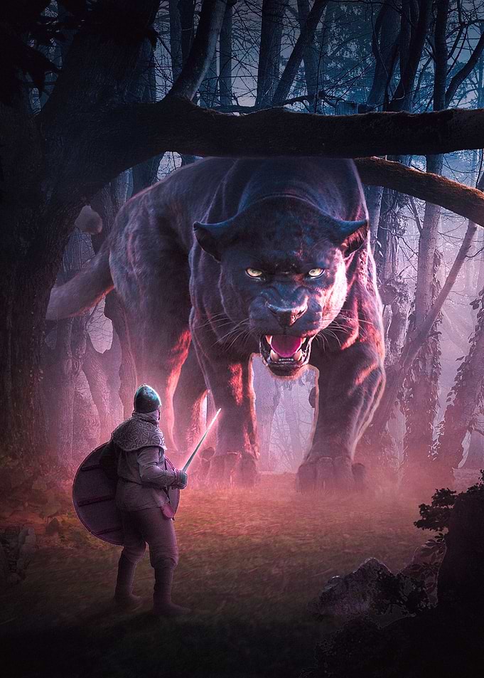 The Encounter