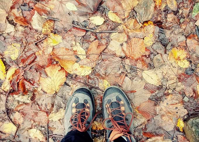 Feet pov muddy foliage