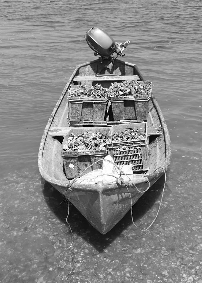 Boat Sailing Boats Ocean