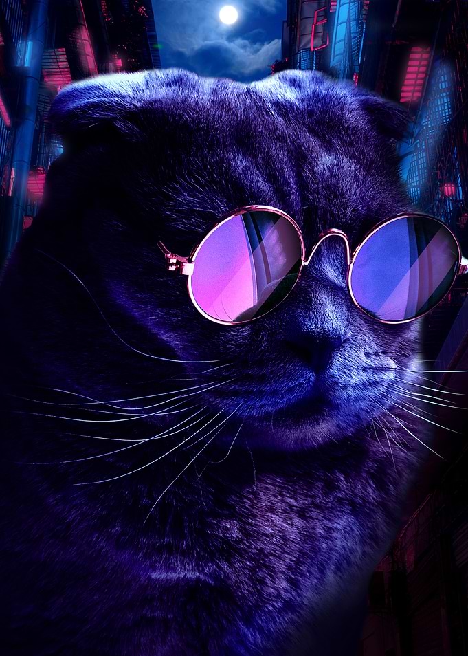 Retro Cool Cat