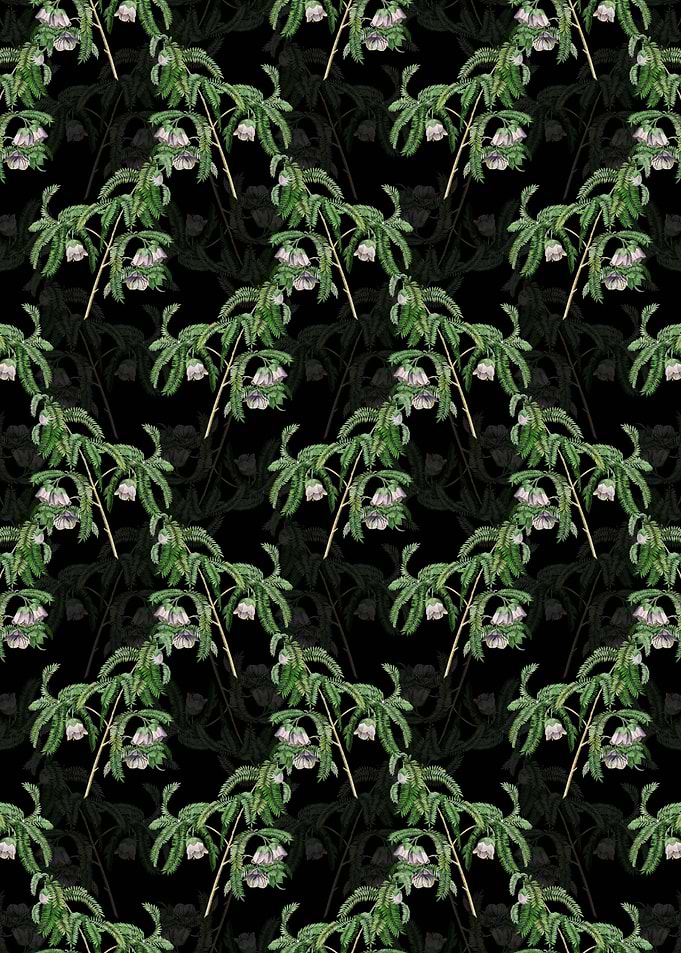 Spaendoncea Tamarandifolia