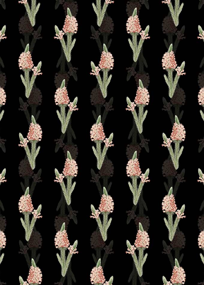 Heather Briar Root Bruyere