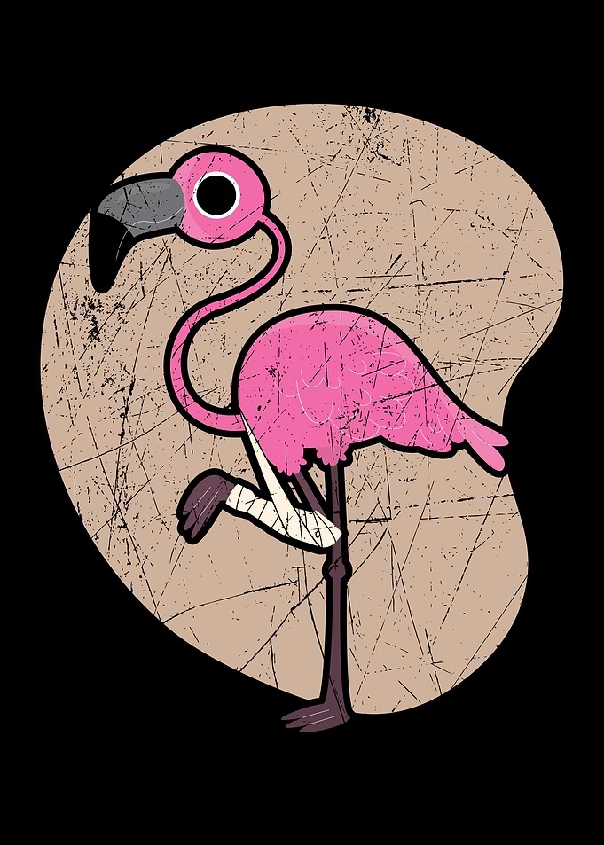 Injured Flamingo Broken