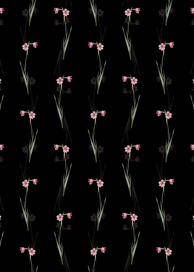 Floral Sword Lily Pattern