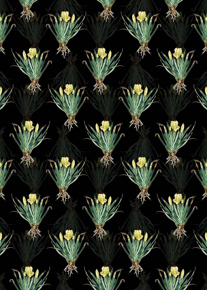 Black Crimean Iris Pattern