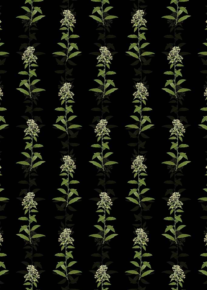 Green Cestrum Pattern