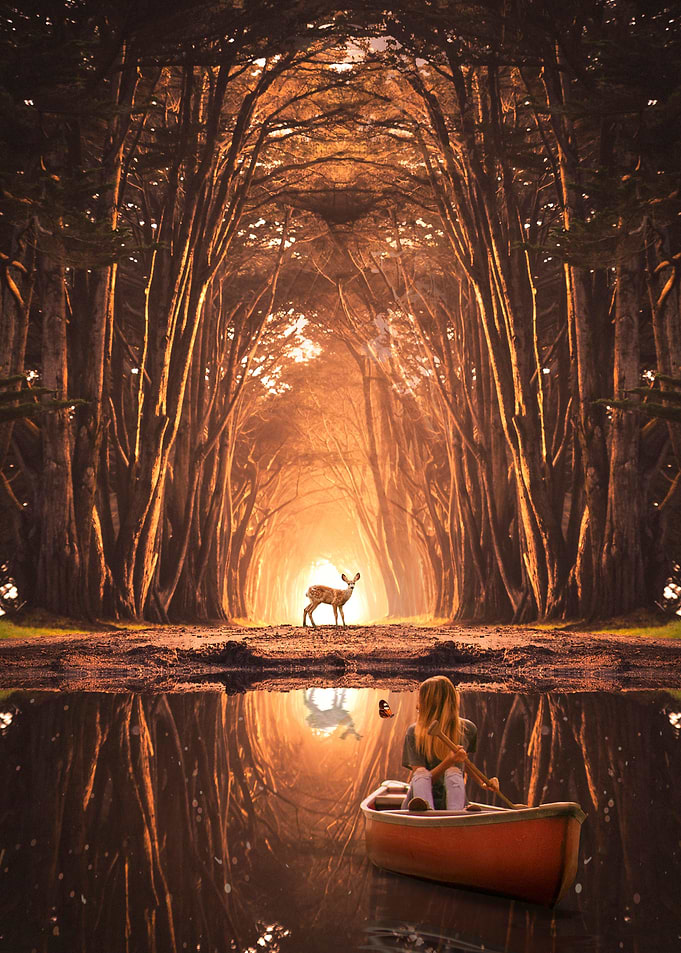 Illusion World