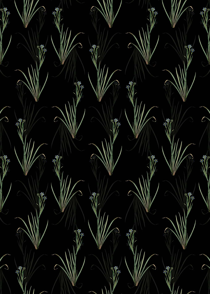 Floral Bermudiana Pattern