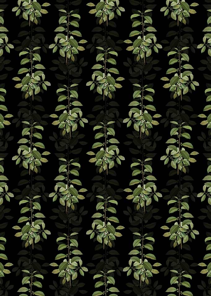 Alder Buckthorn Pattern