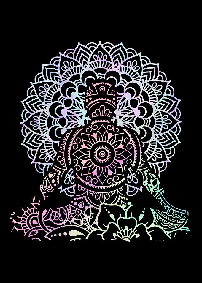 Yoga Instructor Yogi Zen