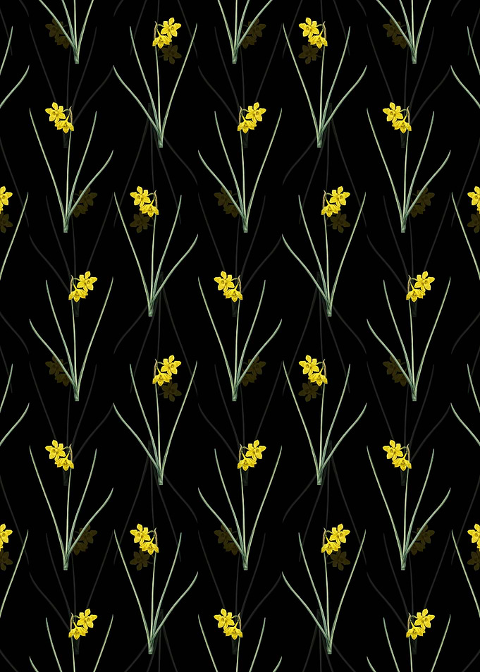 Narcissus Odorus Pattern