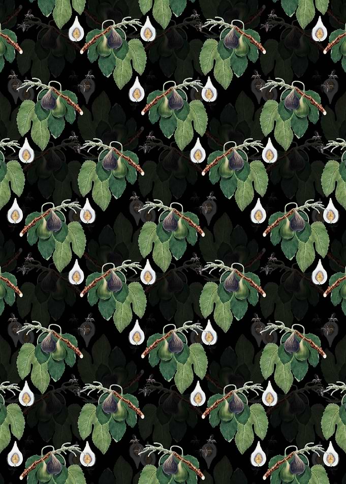 Vintage Floral Fig Pattern