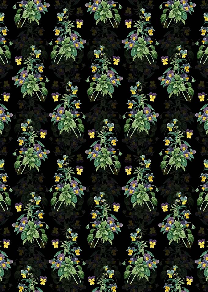 Johnny Jump Up Pattern