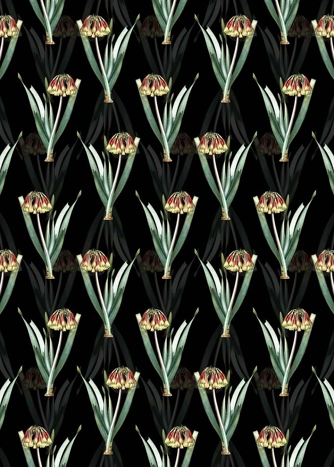 Floral Knysna Lily Pattern