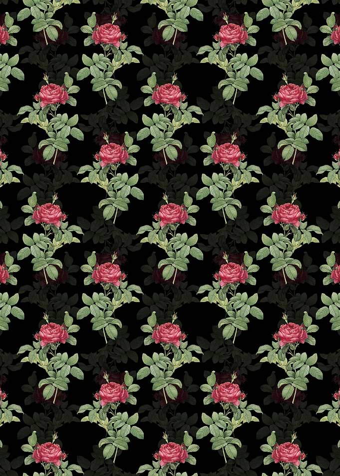 Red Gallic Rose Pattern