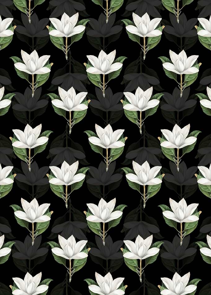 White Southern Magnolia