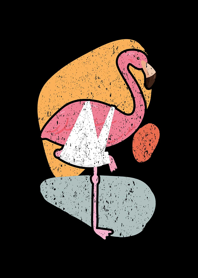 Injured Flamingo Broken