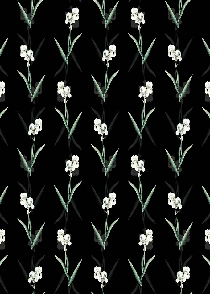 Tall Bearded Iris Pattern