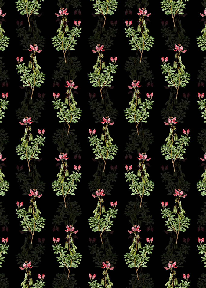 Floral Restharrows Pattern