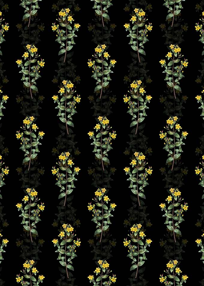 Stinking Tutsan Pattern