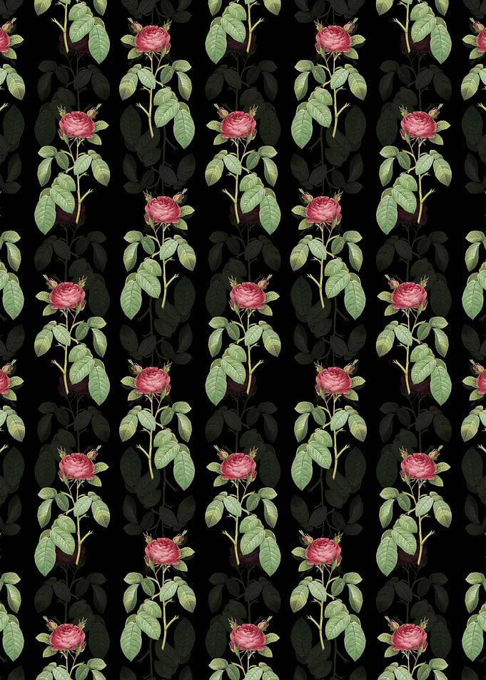 Red Gallic Rose Pattern
