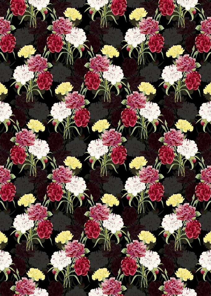 Floral Carnation Pattern