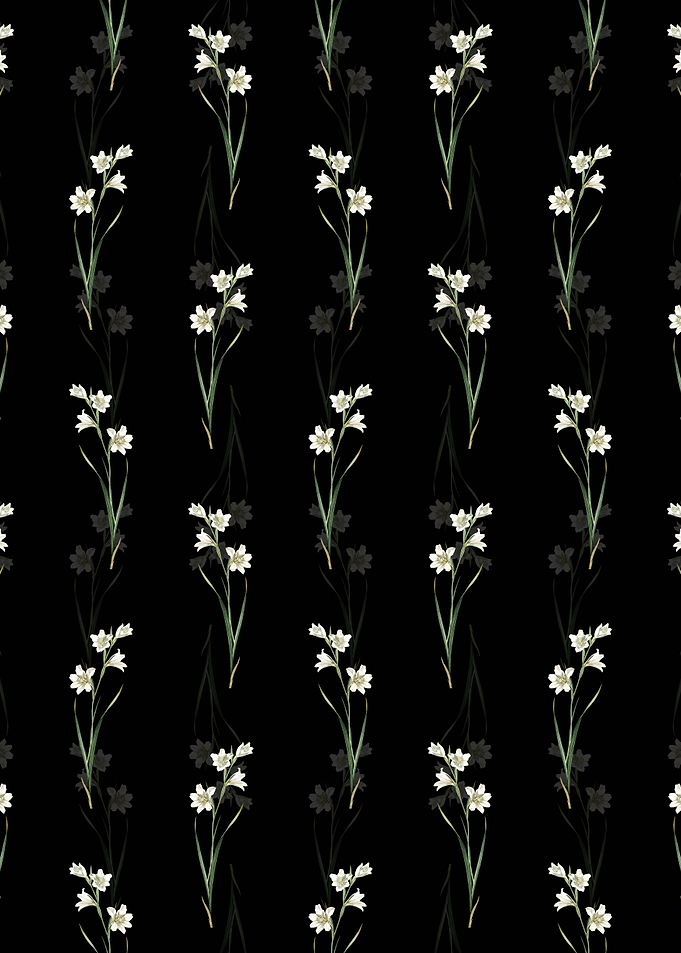 Black Painted Lady Pattern