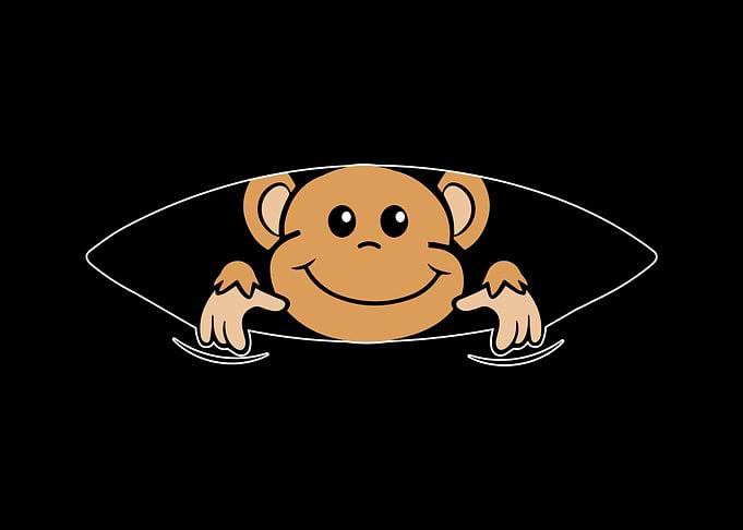 Baby monkey Pregnancy