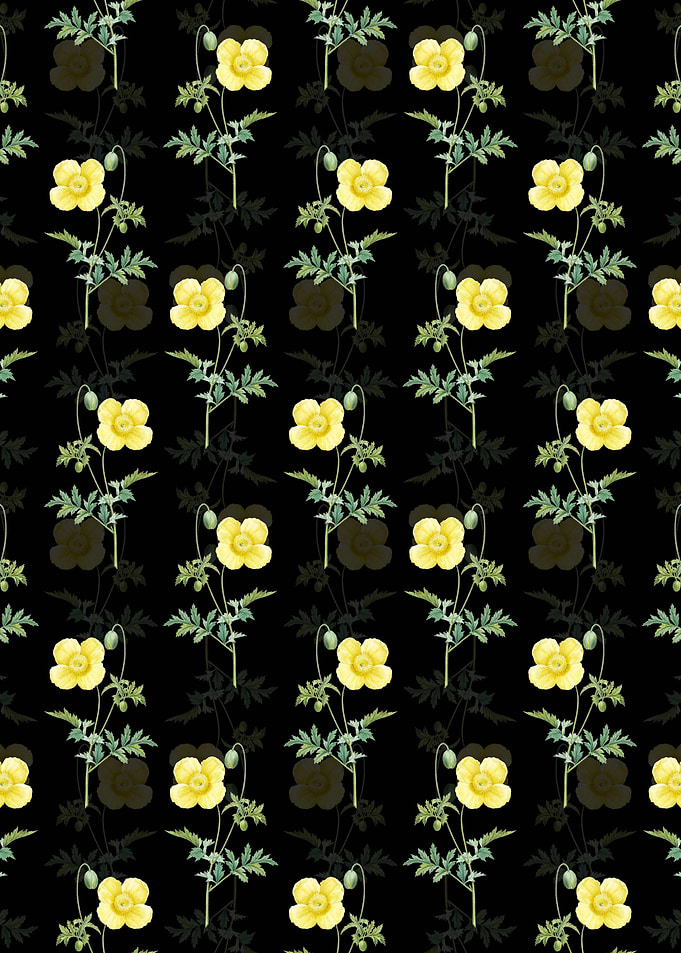Floral Welsh Poppy Pattern
