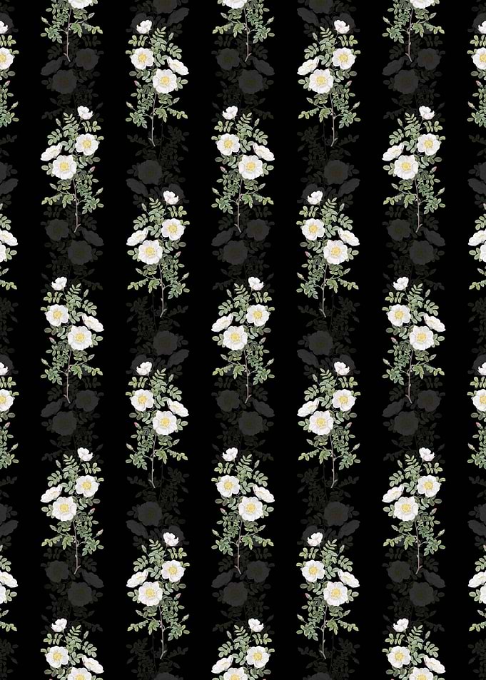 White Burnet Roses Pattern