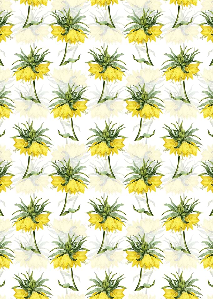 Kaisers Crown Pattern