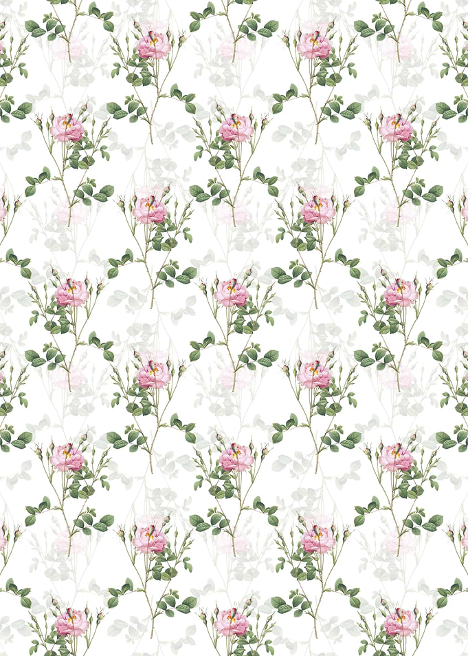 Anemone Sweetbriar Rose