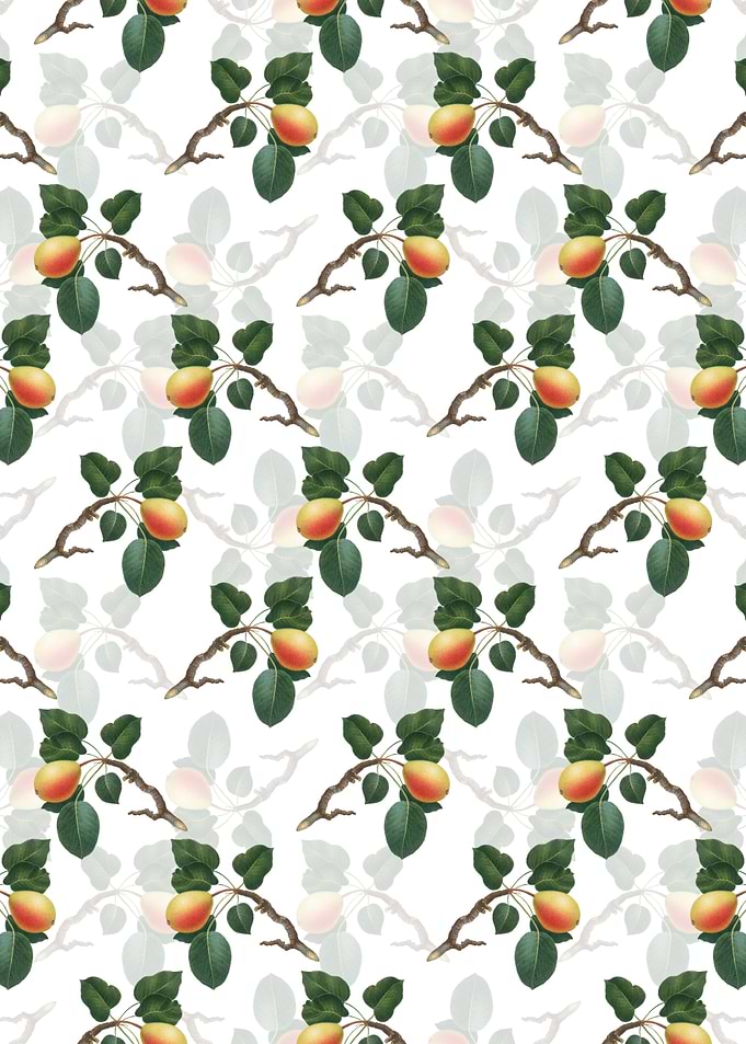 White Floral Pear Pattern