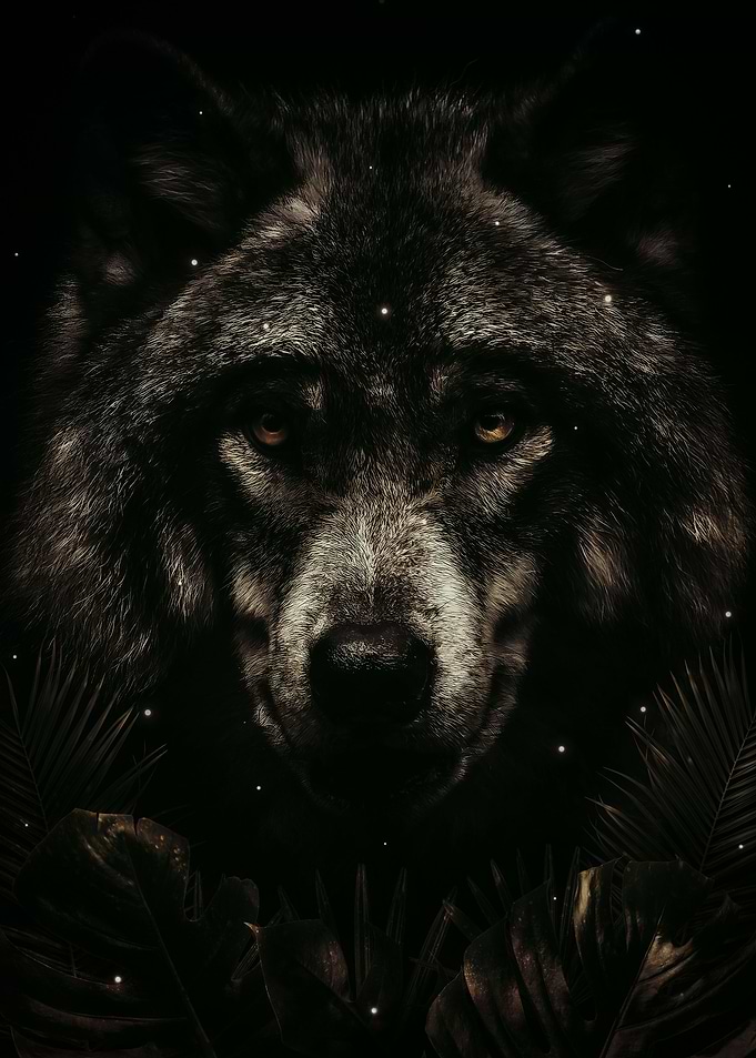 Wolf Portrait