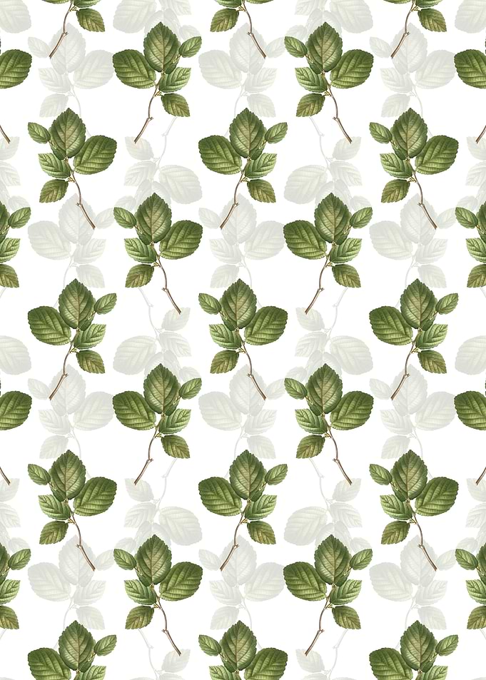 Floral Witch Hazel Pattern
