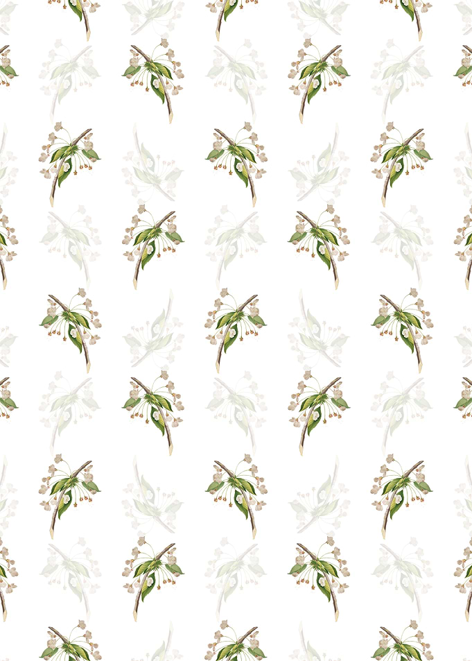 Cherry Plum Flower Pattern
