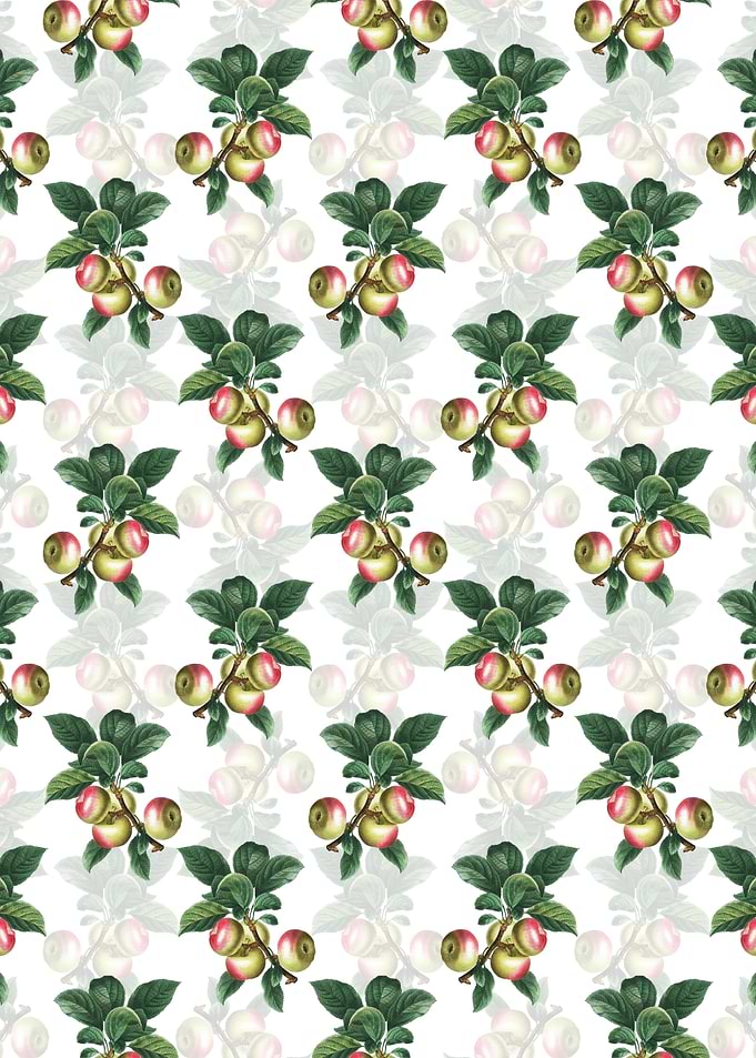White Floral Apple Pattern