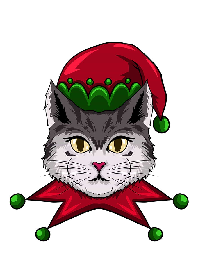 Funny Christmas Cat