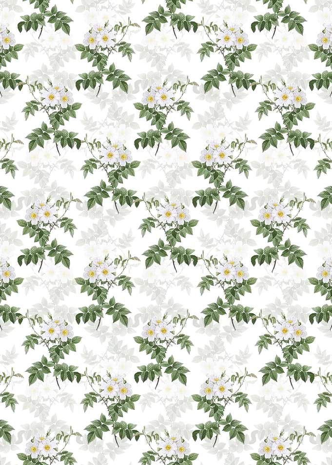 White Rosebush Pattern