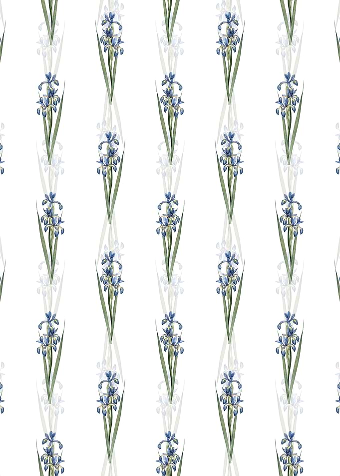 Floral Blue Iris Pattern