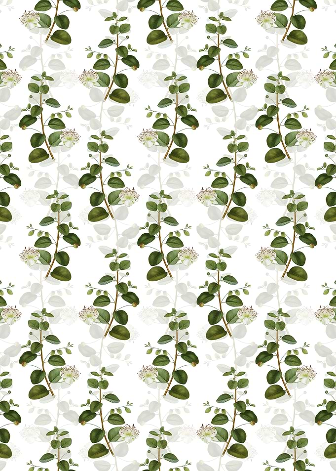 Floral Caper Plant Pattern