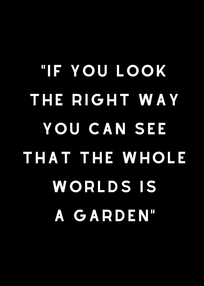 Positive Attitude Quotes