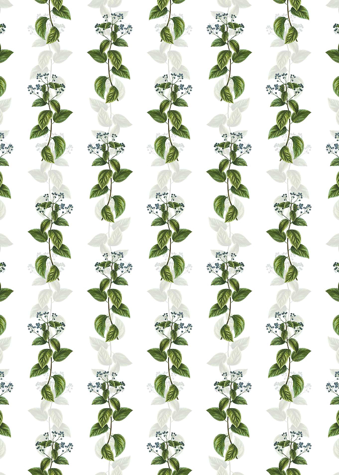 New Jersey Tea Pattern